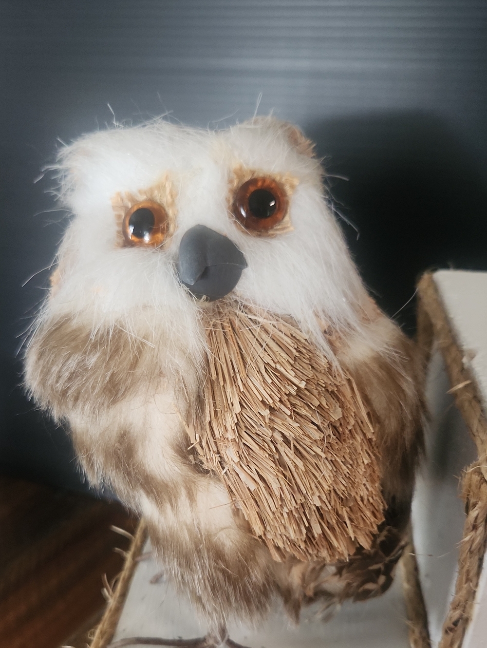 Owl Decor